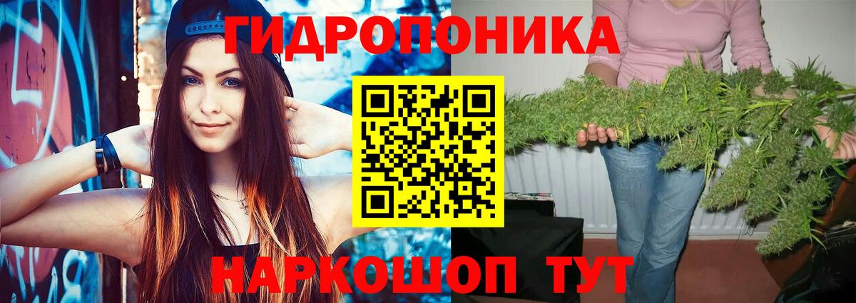 Канабис сатива Лыткарино